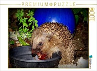 "Calvendo Puzzle An Illustration From The \"My Hedgehogs\" Calendar | 1000 Pieces,"