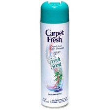Carpet Fresh  Quick-Dry Foam, Fresh Scent, 10 OZ 10.5 Ounce Pack of 1 