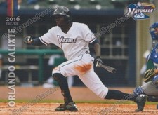2016 Northwest Arkansas Naturals Orlando Calixte RC Rookie Royals Minor