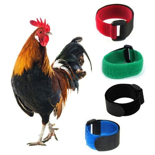 2PCS AntiCrowing Collar Adjustable Rooster Cockerels AntiHook No Noise Nylon - 第 2/12 張圖片
