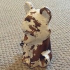 Picture 5 of 5