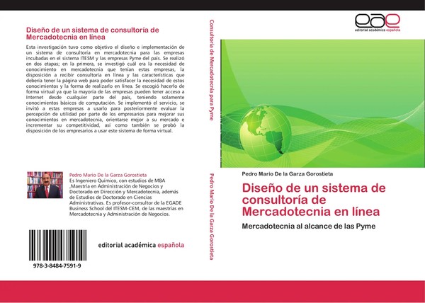 Pedro Mario De La Garza Gorostieta | DiseñO De Un Sistema De ConsultoríA De...-image