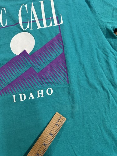 T-shirt vintage McCall Idaho taglia L Oneita sci di montagna sci - Foto 14 di 15