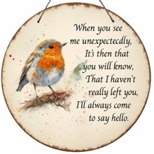 When You See Me Robin Memorial Hanging Plaque Sympathy and Bereavement Gift