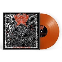 Wayward Dawn - ALL-CONSUMING Void Transparent Orange - Vinyl Record - G3Z