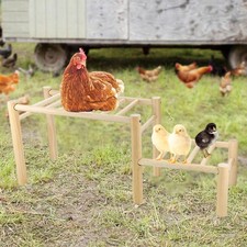Chicken Coop Perch Wooden Easy Assembly Gym Habitat Decoration Ladder
