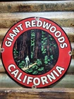 VINTAGE CALIFORNIA PORCELAIN SIGN RARE OLD SEQUOIA REDWOOD TREES FOREST PCH 12"