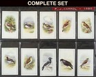 CARROLL BIRDS CIGARETTE CARD 1939 COMPLETE SET 25 GOOD CONDITION