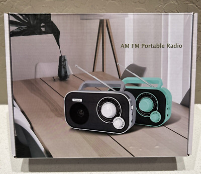 AM-FM Portable Radio Dream Sky Grey tested and Working