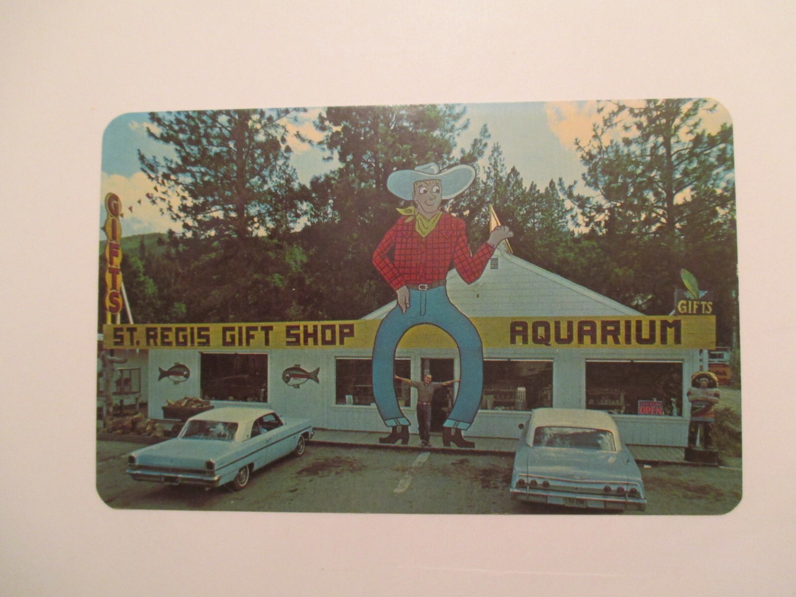 St Regis Montana Postcard Gift Shop And Aquarium Mt | Ebay