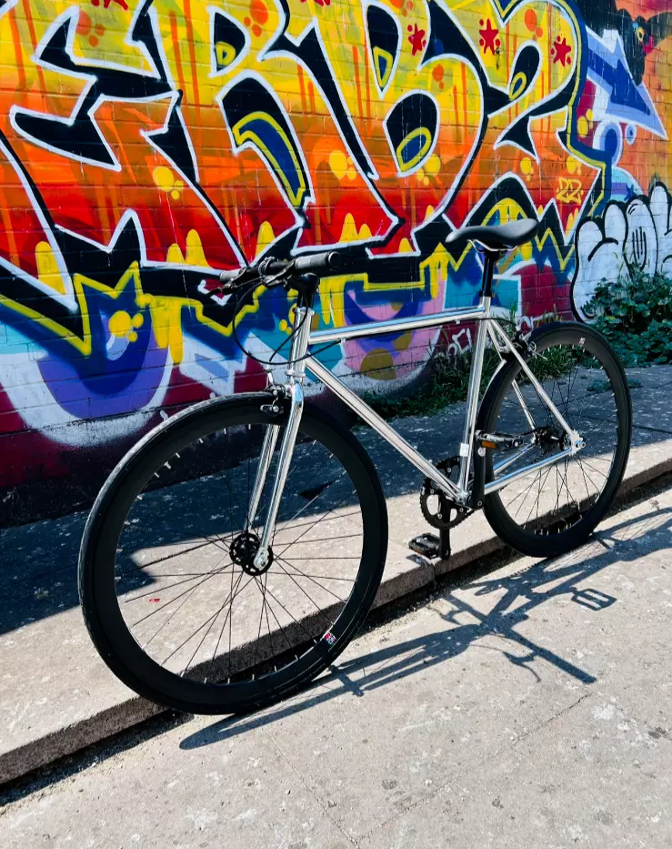 NEW teman single speed road bike freewheel and fixed city bike