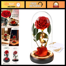 Preserved Red Roses in Acrylic Dome - Perfect Gift for Mom, Wife, Anniversary, B