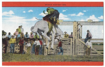 BRONCO BUSTING (Cowboy on Horse at Rodeo), c1940's Unused Linen Postcard