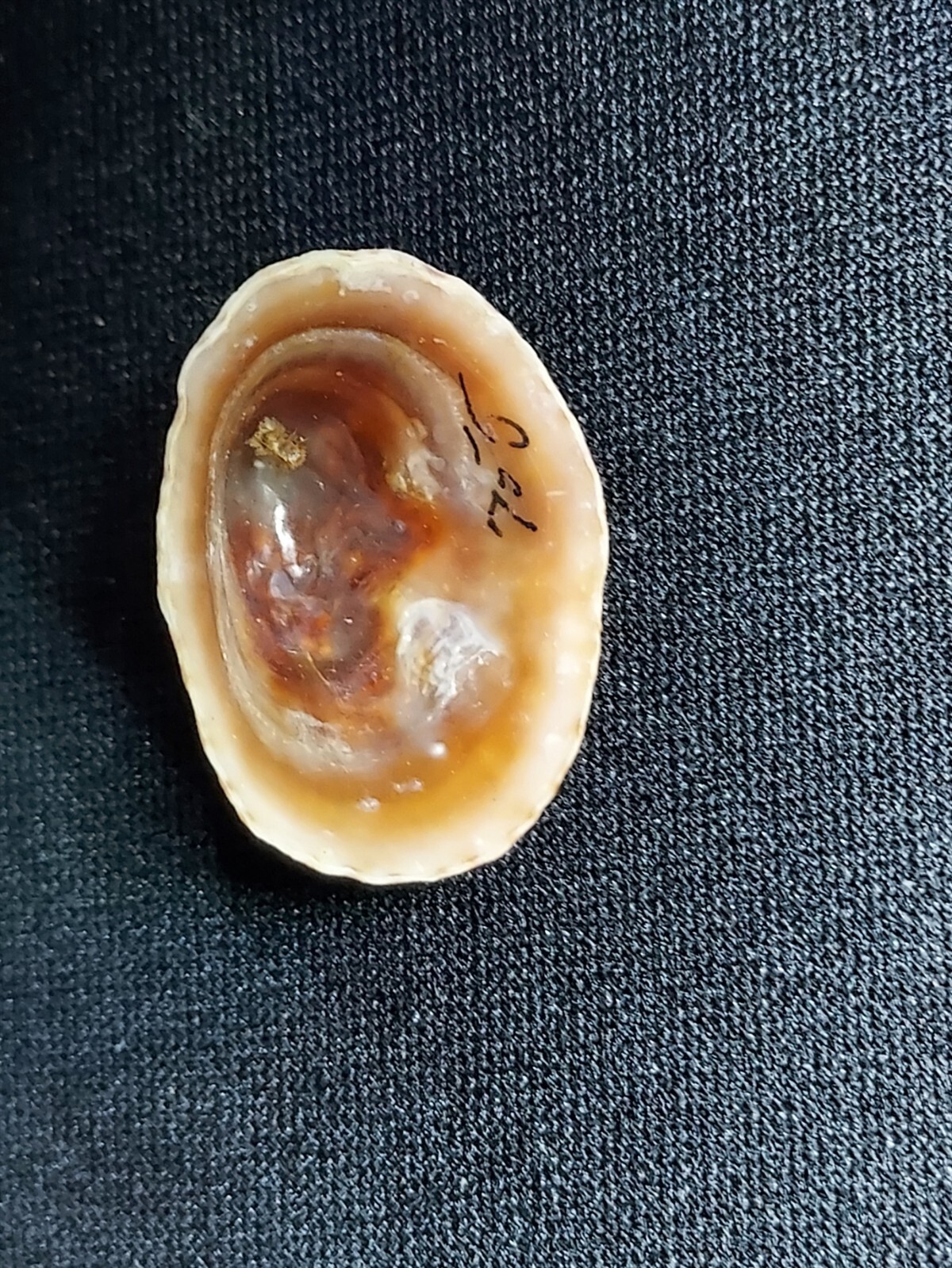 Picture 2 of 2