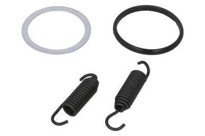 Für WINDEROSA W823176 Exhaust system gasket/seal W823176 fits SUZUKI Exhaust sy