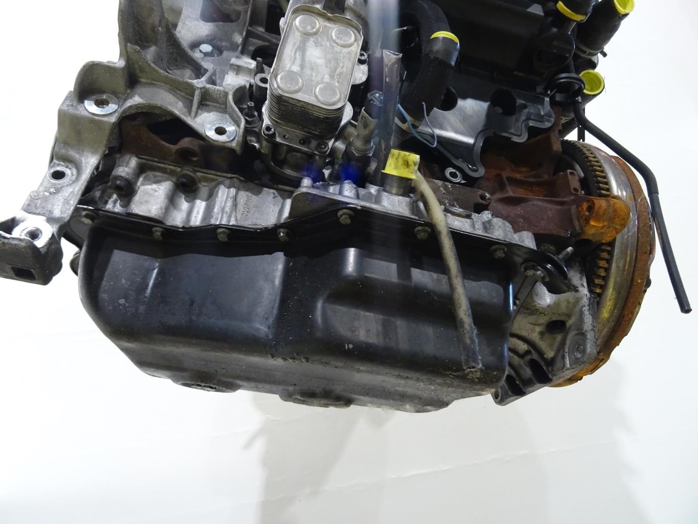 Afbeelding 11 van 12