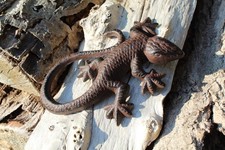 Eidechse Gusseisen antikbraun Salamander Gecko Gartenfigur Dekofigur Gartendeko