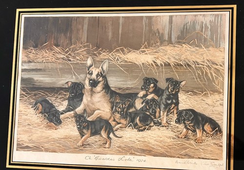Reuben Ward Blinks Signed Etching of German Shepherd Dog Giralda's Lola Framed