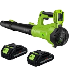FTOP Leaf Blower Cordless with 2 Batteries and Fast Charger, 6 Speed Mode, 21...