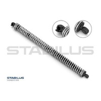 2X Gasfeder Kofferraum Hinten FüR BMW 5-Er F10 09 Bis 16 Stabilus Teil N52B30BF