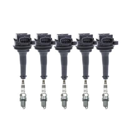 Denso Ignition Coil Kit (Iridium IX) (Gap 0.032)
