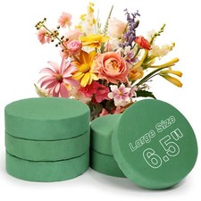 Round Floral Foam Blocks 6 Pack 6.5 Inch Diameter Wet  Dry Green Fresh