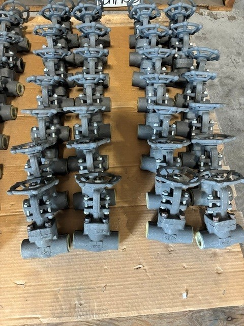 Lot of (32) DV 1" 800# Forged Steel Threaded A105 Gate Valves