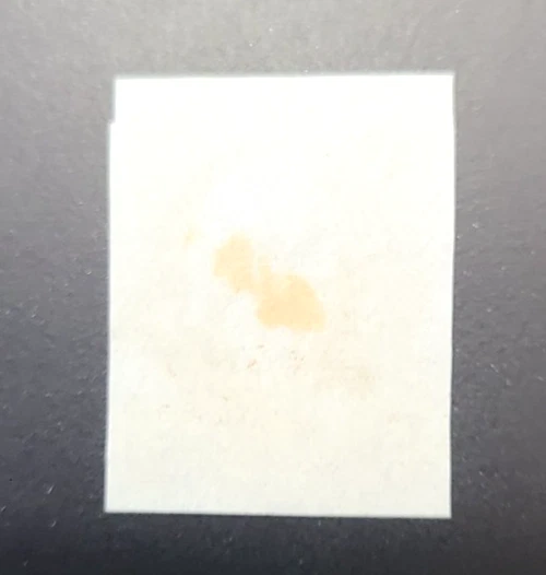 1847 (1875 Reproduction), 5¢ red brown (Scott 3), PSE Cert. - Image 3 of 3