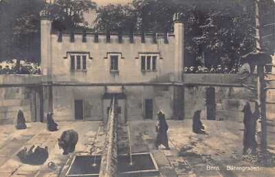 A760 Switzerland Bern Baerengraben Brown Bears Zoo Garden postcard