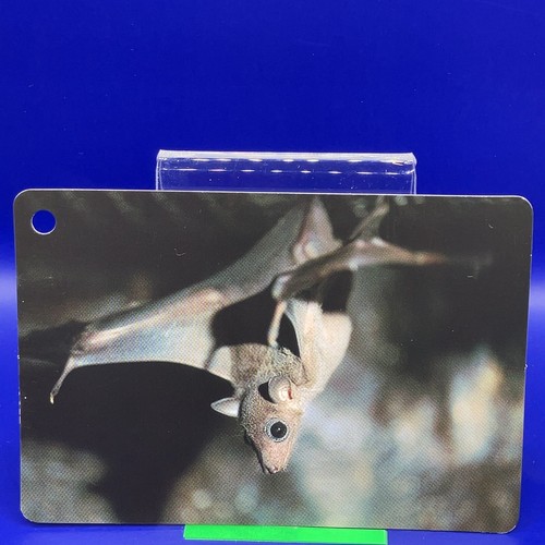 Animal Card Mammalian 4.25 x 2.75 Inch Made in Japan Japanese JP #60 - Picture 2 of 8