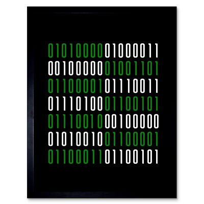 Binary PC Master Race Nerd Witz Humor Zitat Wandkunstdruck gerahmt 12x16
