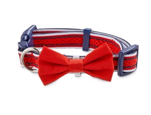 Bond And Company Grand American Dog Collar XX-Small Blue