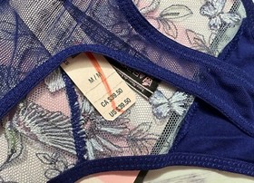 Victoria's Secret Unlined Hummingbird Shine Embroidery Demi Bra Thong Set Blue
