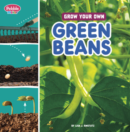 Grow Your Own Green Beans (Pebble Maker Grow) by Lisa J. Amstutz