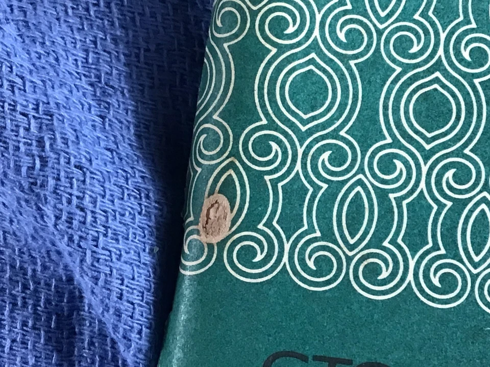 1970 年庞蒂亚克 GTO 柠檬暴风雨所有者手册用户指南操作员书籍保险丝原始设备制造商 — 第 2/4 张图片