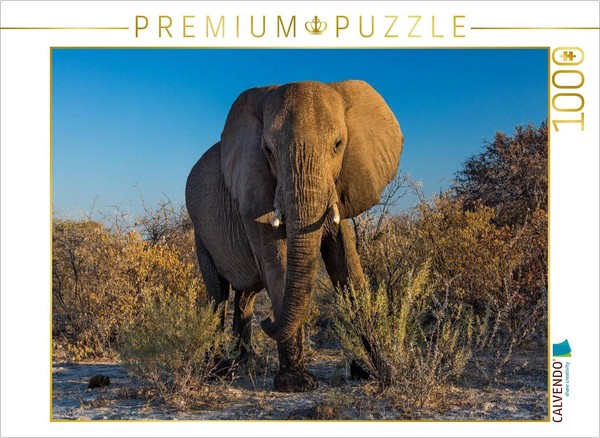 Calvendo Puzzle Elefant In Etosha | 1000 Teile Lege-GrößE 64 × 48 Cm Foto-Puzzle-image