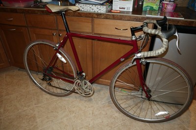 nitto randonneur