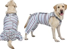 Adjustable Dog Recovery Suit for Male/Female  Prevent Licking after Spay/Neuter