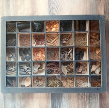 Apothecary Herbal Medicine 1900s Vintage Specimen Display Science Oddity Medical