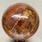 Natural Petrified Wood Polished Stone Quartz Crystal Sphere Ball Healing 1760G — photo 3