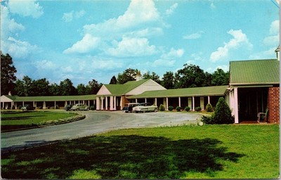 Rock Hill, SC South Carolina Postcard Andrew Jackson Court Motel Classic Cars