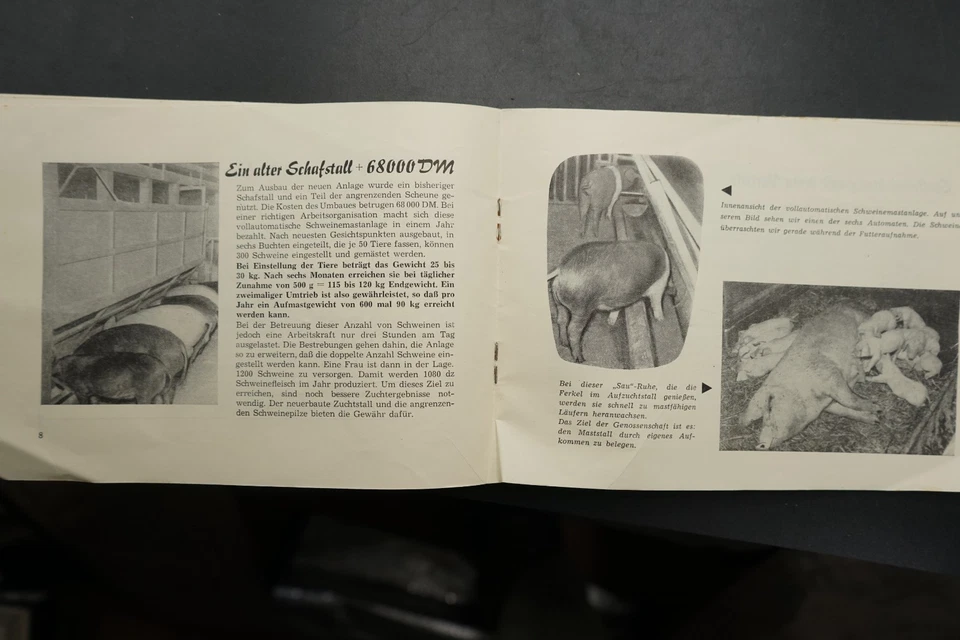 DDR Propagandaheft Buch Dothen Schkölen Schweinestall LPG Geschichte Thüringen - Bild 4 von 4