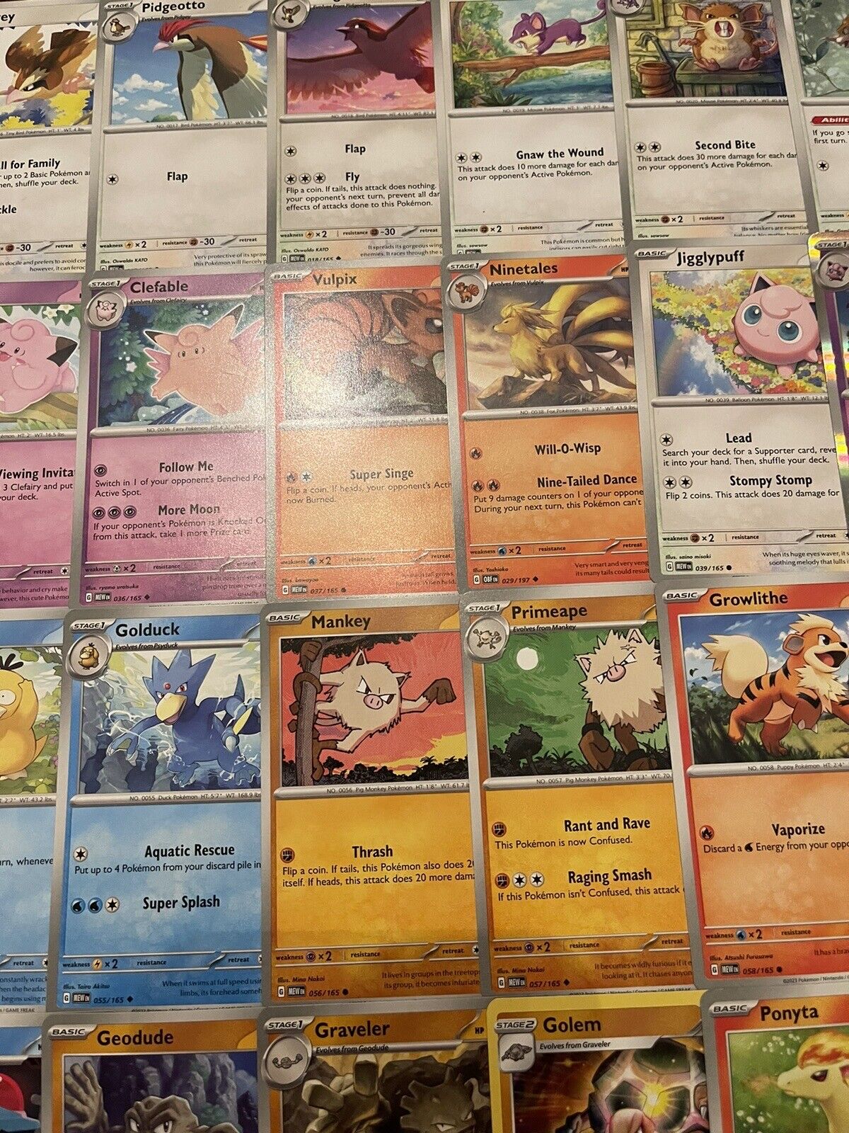 Picture 10 of 20