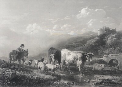 Berger Kuh Schaf Nach Eugène VERBOECKHOVEN 1798-1881 Graviert Von Cousen 1863
