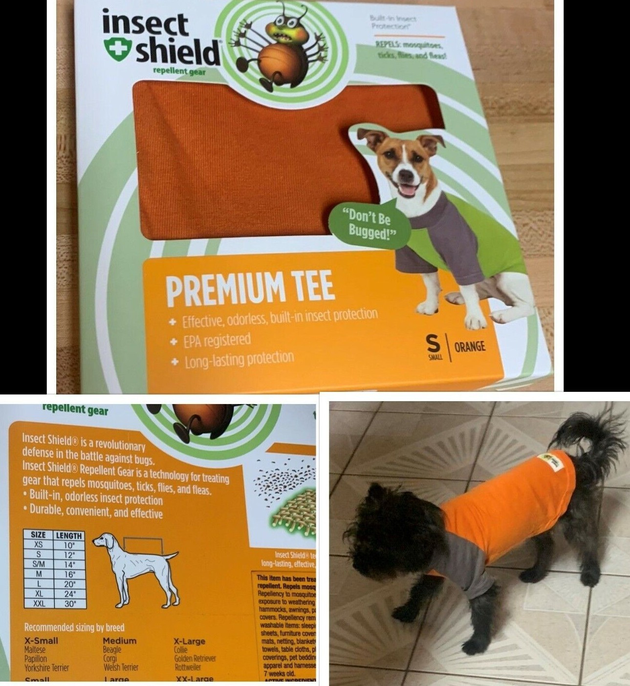 orange dog hoodie