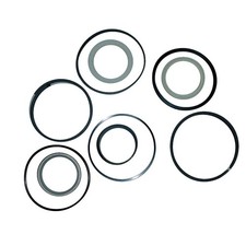 234844A1 Dipper Stick Arm Cylinder Seal Kit Fits Case 580L 580M