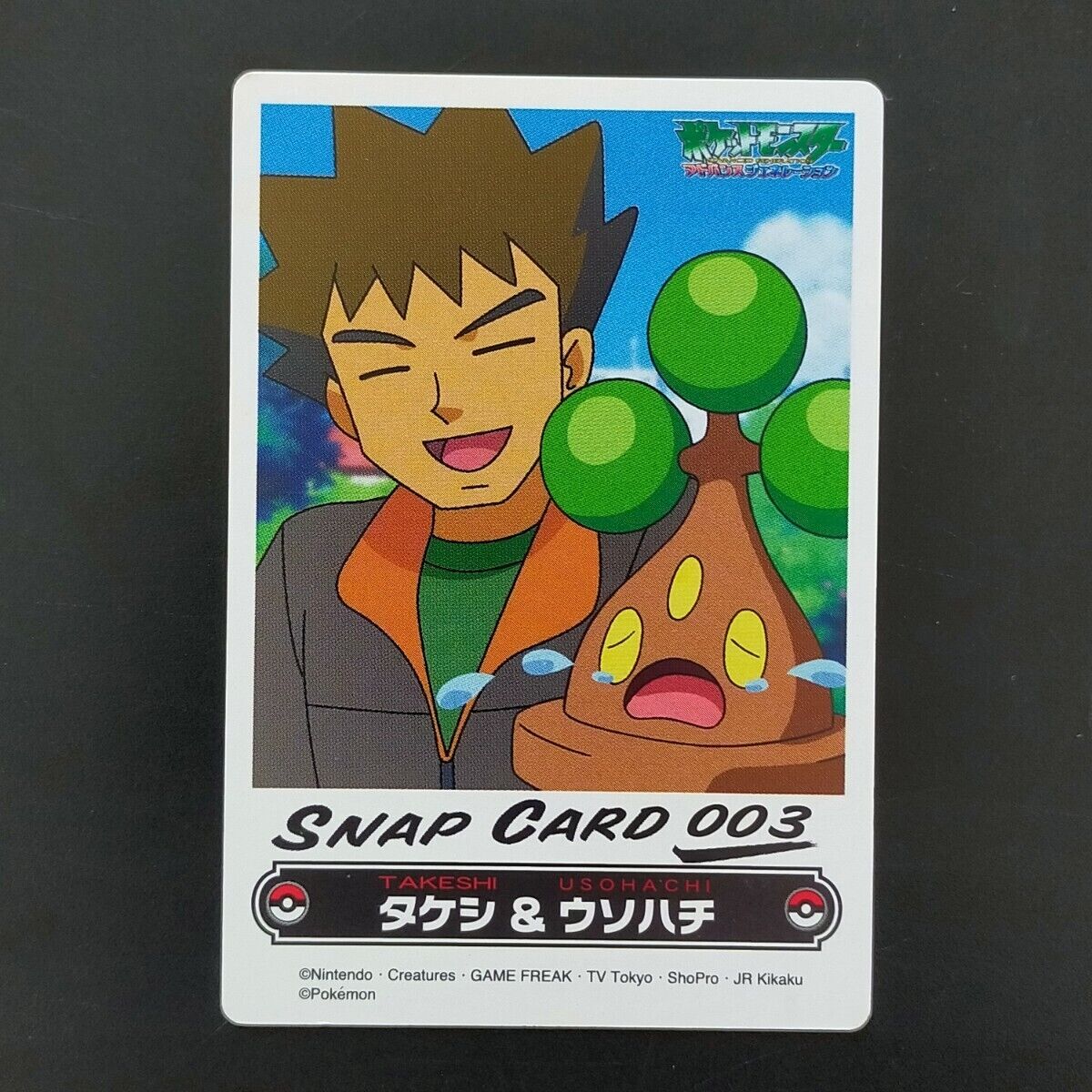 Brock & Bonsly ZUKAN Carddass THE POKÉMON WEEKLY SNAP 003 Brock & Bonsly ZUKAN Carddass THE POKÉMON WEEKLY SNAP 003