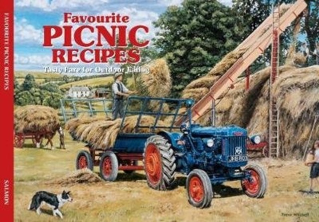 Salmon Favourite Picnic Recipes (Paperback Book)