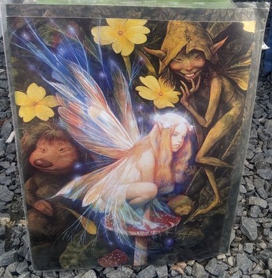 2005 Brian Froud World Of Froud Frameables 11x14 Primrose Faery Print 