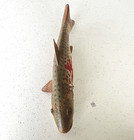 VINTAGE 4 1/2" WOUNDED SUCKER FISH SPEARING DECOY FOLK ART FISHING LURE — photo 9